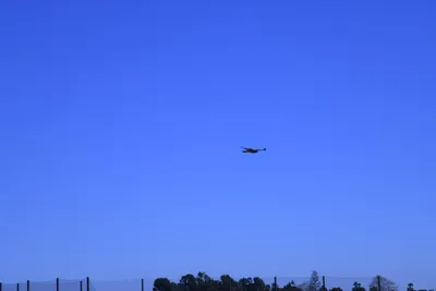 DSC_0784 (Large).JPG